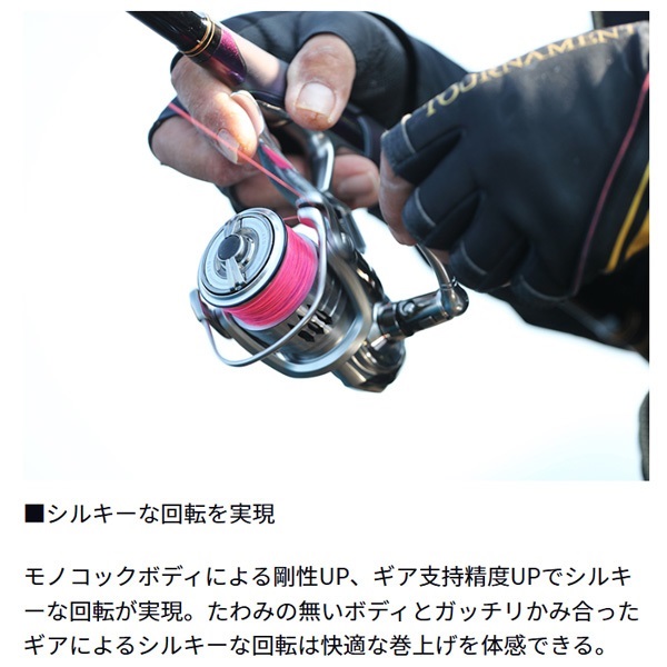 24インパルト